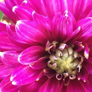 Meet your Posher, Bud & joyce